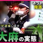 【犯罪】｢そんな悪いものじゃない｣ 依存や覚醒剤への入り口にも… 若者にまん延する”大麻”の実態　福岡　NNNセレクション