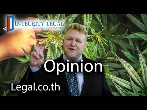 SPECIAL REPORT: Should There Be A Constitutional Court Ruling On Cannabis In Thailand?