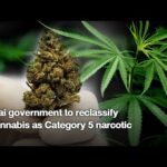 Thai government to reclassify cannabis as Category 5 narcotic