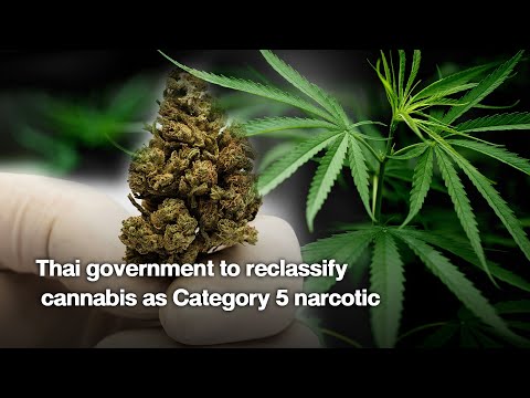 Thai government to reclassify cannabis as Category 5 narcotic