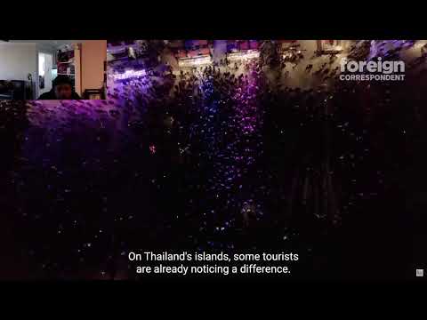 Is Thailand the New Weed Capital of the World? | Foreign Correspondent