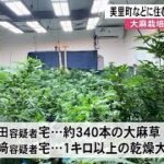 大麻の栽培・所持の疑いで男女４人逮捕【熊本】 (24/07/27 12:00)