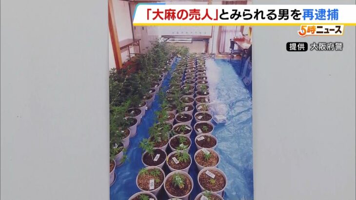 「ＢＢＱしてる？というにおいを感じた」アパートに大麻草280株　営利目的で栽培疑いの男は大麻の売人か（2024年7月2日）