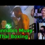 Cannabis Muay Thai Boxing