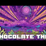 Chocolate Thai Sativa CBD THC Powerful Weed Cannabis