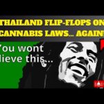 THAILAND FLIP-FLOPS ON CANNABIS LAWS AGAIN! 🌿😂@FunnyThailandNews