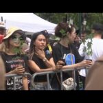 Thai protest against government proposal to once again ban sale of marijuna for de facto general use