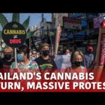 Thailand Cannabis Activists March In Bangkok Against Health Ministry Live | News18 Live |N18G