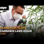 Thailand News July 24: Thailand Flip-Flops on Cannabis Laws Again