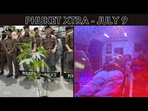 Thailand a step closer to reclassifying cannabis as narcotic, Phuket village scare || Thailand News