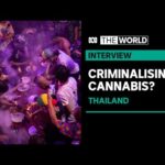 Thailand’s government looking into re-criminalising weed | The World