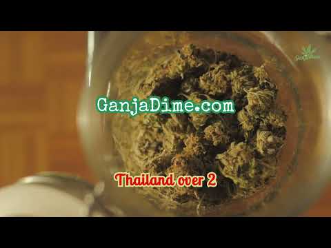 Unlocking Profits: Investing in Marijuana in Thailand with GanjaDime.com 🌿💰 #GanjaGoldmine