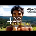 Dispensary Hunters #1: High Town Cannabis, Chiang Mai, Thailand