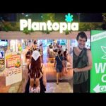 Incredible Cannabis Shopping Mall Plantopia | Best Weed in Bangkok Old Town! | Khao San Rd Nightlife