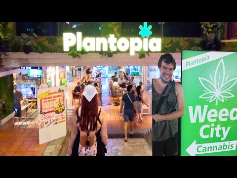 Incredible Cannabis Shopping Mall Plantopia | Best Weed in Bangkok Old Town! | Khao San Rd Nightlife