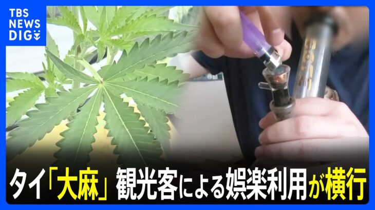 「大麻」事実上解禁のタイ　観光客による娯楽利用が横行 政府は再規制方針も事業者は反発｜TBS NEWS DIG