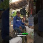 @WorldWeedWonders| Unforgettable Moments at the Thai Farm: Bonding Over Generations of Cannabis