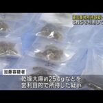 SNSを利用し密売か　乾燥大麻などを所持した疑いで男を逮捕・送検 (24/10/04 12:04)