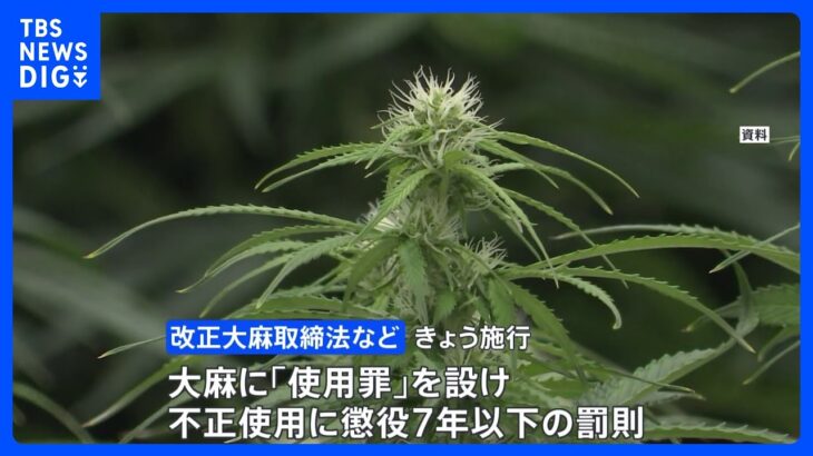 大麻に「使用罪」12日施行　不正な使用には懲役7年以下の罰則｜TBS NEWS DIG