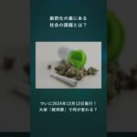 ついに2024年12月12日施行！大麻「使用罪」で何が変わる？