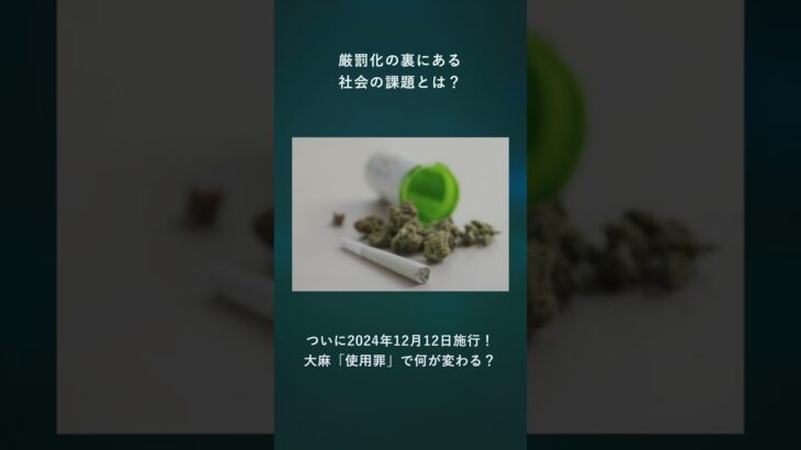 ついに2024年12月12日施行！大麻「使用罪」で何が変わる？