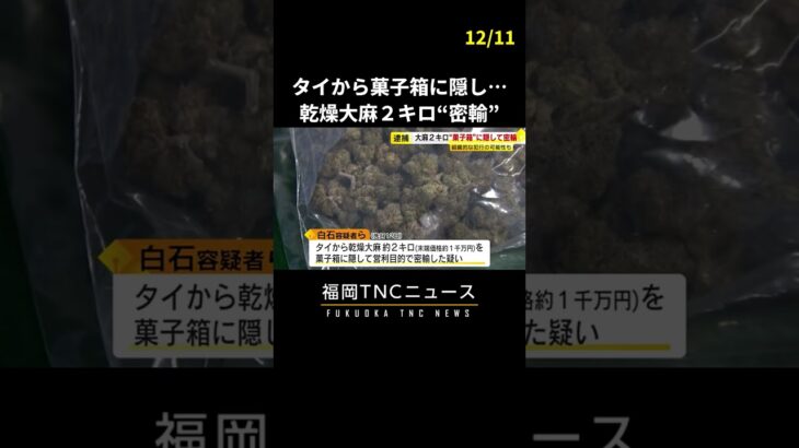 タイから菓子箱に隠し…乾燥大麻2キロ“密輸”　男2人逮捕　#shorts #大麻 #薬物 #事件 #福岡 #ニュース