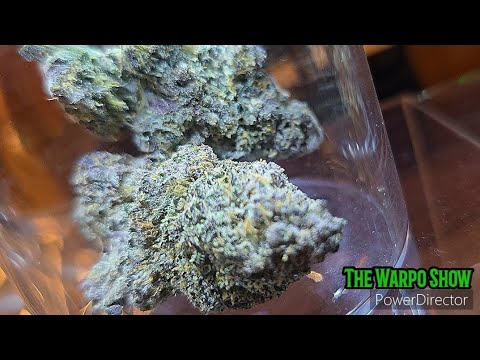 Buying Weed in Bangkok 🇹🇭 Episode #50