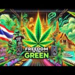 Freedom in the Green: Thailand’s Cannabis Legalization Rap (Animated)