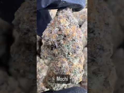 Mochi Cake Weed Strain | High Thai Weed in bangkok