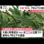 大麻の「使用」禁止する法律が施行　大麻・THCを「麻薬」と位置づけ7年以下懲役に　2023年の大麻事件摘発は過去最多6703人