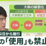 【大麻「使用」も禁止に】改正法が施行…医療分野では認可も  “法の抜け穴”存在ナゼ「ゲートウエードラッグ」でもカジュアル化？