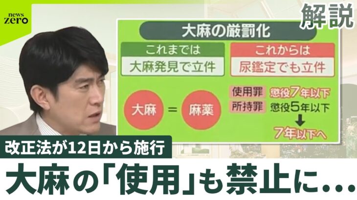 【大麻「使用」も禁止に】改正法が施行…医療分野では認可も  “法の抜け穴”存在ナゼ「ゲートウエードラッグ」でもカジュアル化？