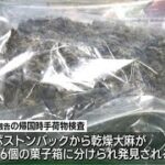 タイから大麻２キロ“営利目的密輸”男２人を逮捕