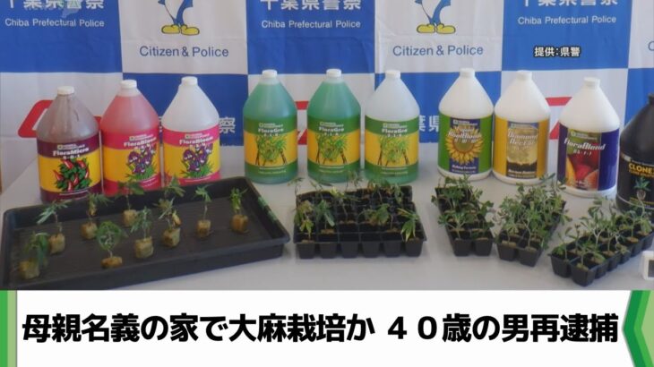 千葉県大網白里市の母親名義の家で大麻栽培か ４０歳の男再逮捕（2025.01.16放送）