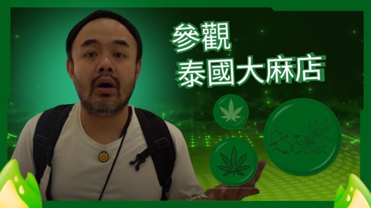 【邵子風遊泰國】參觀泰國大麻店Canaza Shop!!! 凌晨三時夜宵Bemee Giao – Moo Daeng夠晒鑊氣！