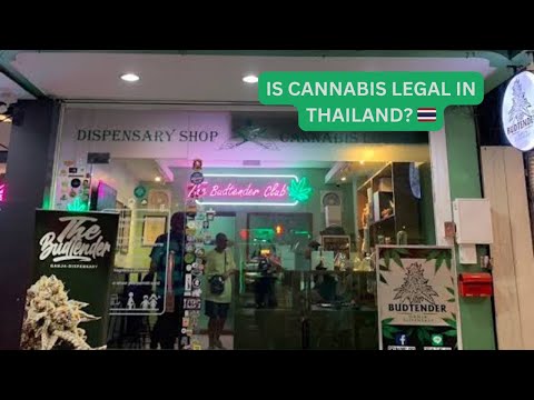 Is Cannabis Legal in Thailand? 🇹🇭