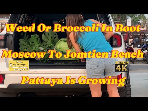 Weed In Pattaya Thailand | Let’s Grow Bro,Hot Russian Lady On Camera Promoting Jomtien Beach #travel