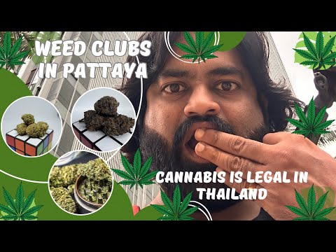 Weed club in Pattaya – Is Thailand the Weed Capital of the World? Best strains of CANNABIS is here