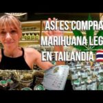 ASÍ ES COMPRAR MARIHU#NA LEGAL EN TAILANDIA 🇹🇭💨