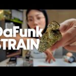 Thai Weed Review: Da Funk Strain