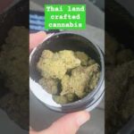 Thai land Grown Craft Cannabis – Australian medical LA pushpop be like YUM #fypシ゚ #medical