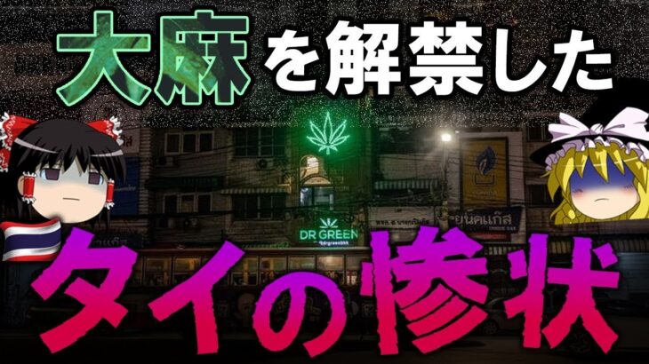 【ゆっくり解説】大麻を解禁したタイの現状が悲惨すぎる…