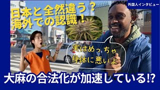 日本人だけが知らない！？大麻の”ヤバい真実”と健康リスク！【外国人インタビュー】