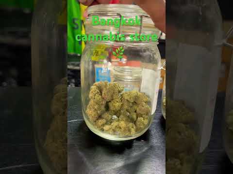 Bangkok cannabis store legal #cannabiseducation #weed #high #stoner #thailand #pattaya #travel #blan