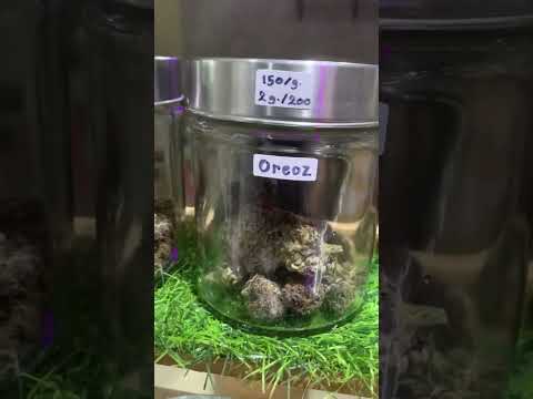 Bangkok medical cannabis shop | thailand #420 #cannabiseducation #peace #rasta #thailand