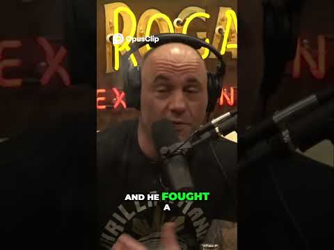 Buying Weed and Muay Thai Fighting  #podcast #jreclips #ufccommentator #jre #comedian #joerogan #ufc