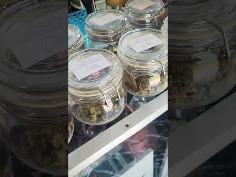 Inside a Thai Weed Shop!