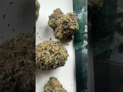 John wick- lemon Thai Hindu Kush x chemdawg. #cannabiscommunity420 #weedgotmefaded #cannabisuk