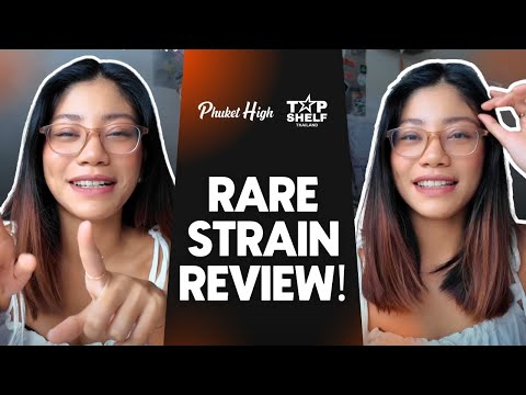 Jungle Cat Strain Review – Best Thai Weed?
