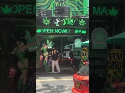 Medical cannabis shop in bangkok #cannabiscommunity #bangkok #shorts